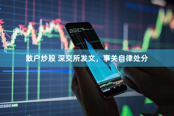 散户炒股 深交所发文，事关自律处分